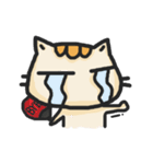 Sanjo Cat（個別スタンプ：8）