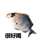 more lovely fish（個別スタンプ：4）