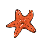 Strange ＆ Funny Animals（個別スタンプ：23）