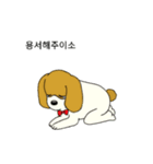 cute ,crazy dog（個別スタンプ：12）