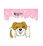 cute ,crazy dog（個別スタンプ：24）