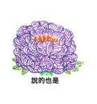 peony flower drawing（個別スタンプ：3）