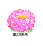 peony flower drawing（個別スタンプ：4）