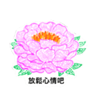 peony flower drawing（個別スタンプ：6）