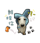 Lai Pai home -Dachshund（個別スタンプ：26）