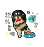 Lai Pai home -Dachshund（個別スタンプ：28）