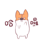 Short legs corgi wewe（個別スタンプ：4）