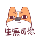 Short legs corgi wewe（個別スタンプ：8）