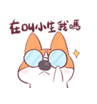 Short legs corgi wewe（個別スタンプ：10）