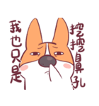 Short legs corgi wewe（個別スタンプ：16）