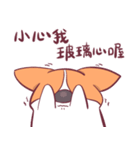 Short legs corgi wewe（個別スタンプ：17）