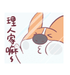 Short legs corgi wewe（個別スタンプ：20）