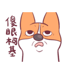 Short legs corgi wewe（個別スタンプ：22）