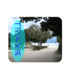 竹富島 石垣島 動物 で日常会話/写真 Ver2（個別スタンプ：31）