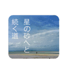 竹富島 石垣島 動物 で日常会話/写真 Ver2（個別スタンプ：36）