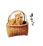 あのとその（個別スタンプ：9）