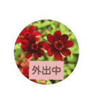 Flower beautiful #2 and animals（個別スタンプ：6）