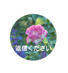 Flower beautiful #2 and animals（個別スタンプ：10）