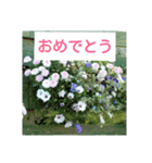 Flower beautiful #2 and animals（個別スタンプ：21）