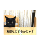 黒猫ジジ（個別スタンプ：3）