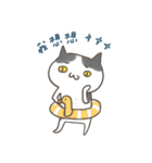 hello working cat :::（個別スタンプ：20）