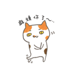 hello working cat :::（個別スタンプ：31）