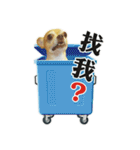 DOG SAY 2（個別スタンプ：1）