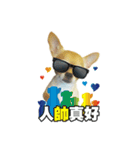 DOG SAY 2（個別スタンプ：4）