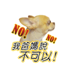 DOG SAY 2（個別スタンプ：5）