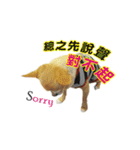 DOG SAY 2（個別スタンプ：7）