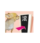 DOG SAY 2（個別スタンプ：21）