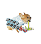 DOG SAY 2（個別スタンプ：22）