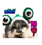 Ptd.Taiwan 's Cat（個別スタンプ：2）