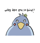 why are you so bird ？（個別スタンプ：1）