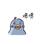 why are you so bird ？（個別スタンプ：22）