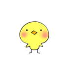 ぴよスケ（個別スタンプ：1）