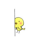 ぴよスケ（個別スタンプ：10）