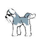 BP Schnauzer Toon（個別スタンプ：10）