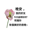 Nelumbo nucifera (flower)（個別スタンプ：3）