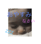 Taiga stamp..（個別スタンプ：12）