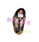 Taiga stamp..（個別スタンプ：30）