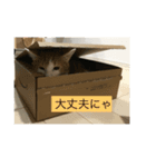 むぎとちくわと申します。（個別スタンプ：5）