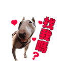 i love bullterrier large（個別スタンプ：5）