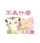 Hani cat-8 funny（個別スタンプ：19）