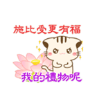 Hani cat-8 funny（個別スタンプ：20）