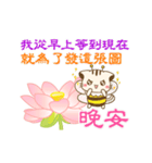 Hani cat-8 funny（個別スタンプ：24）