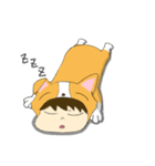 Corgi XIAO LAI is not a human（個別スタンプ：5）