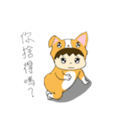 Corgi XIAO LAI is not a human（個別スタンプ：16）