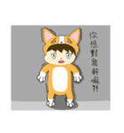 Corgi XIAO LAI is not a human（個別スタンプ：22）