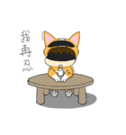 Corgi XIAO LAI is not a human（個別スタンプ：26）